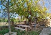 Casa de poble en venda a les Coves de Vinromà ref.: TR274090 foto