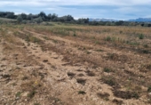 Terreno no urbanizable en venta en Traiguera ref: TR253125 foto