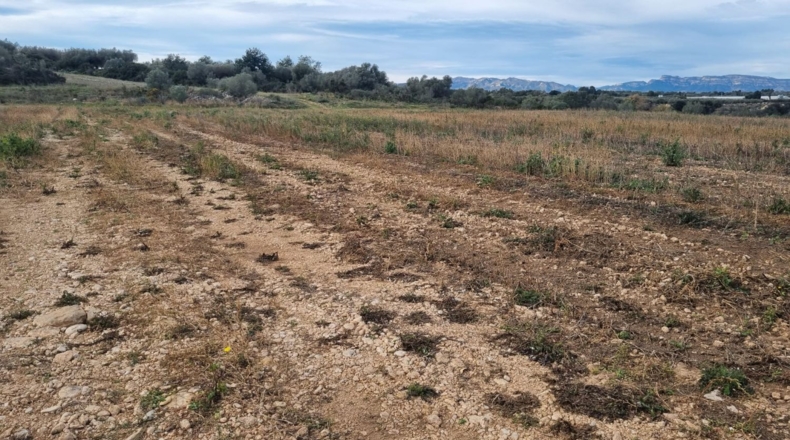 Castellón - Traiguera - 48m2