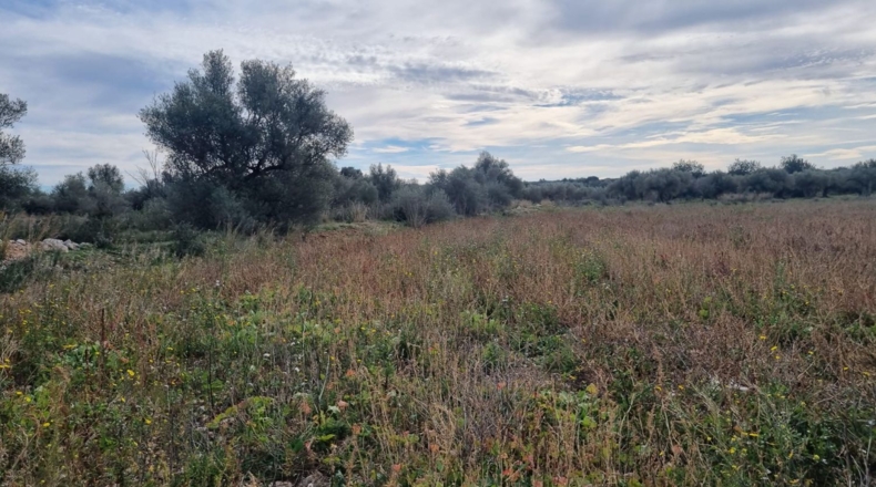 Castellón - Traiguera - 48m2
