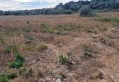 Terreno no urbanizable en venta en Traiguera ref: TR253125 foto