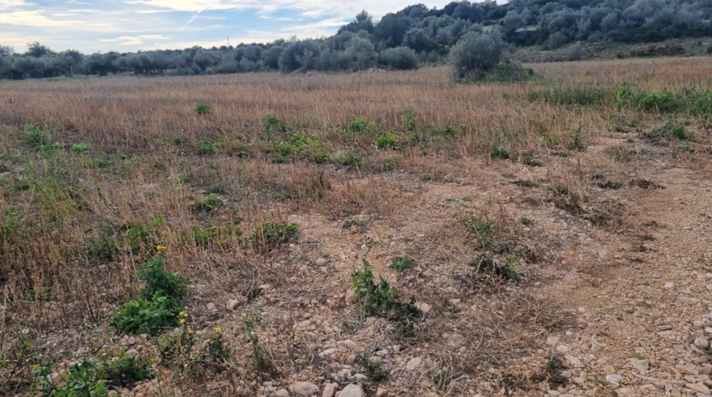 Castellón - Traiguera - 48m2