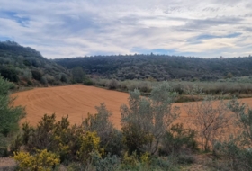 Traiguera 45000&nbsp;м²