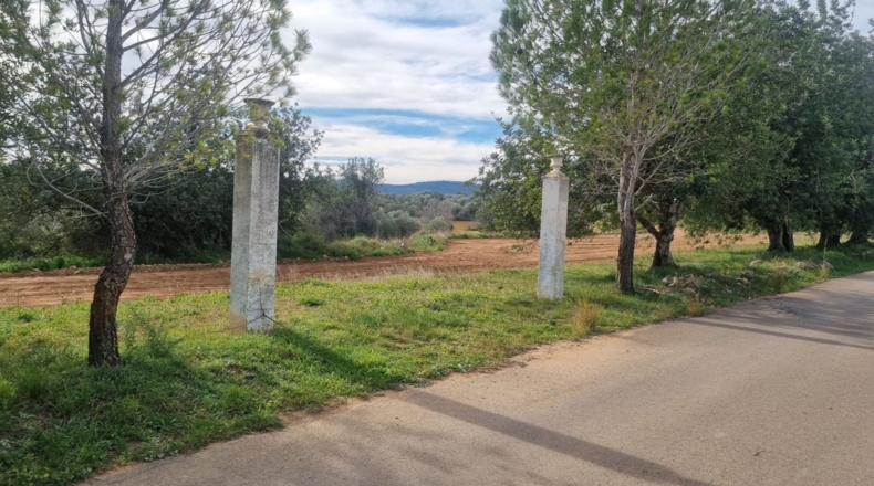 Castellón - Traiguera - 45000m2