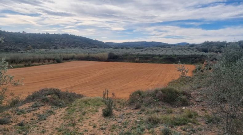 Castellón - Traiguera - 45000m2