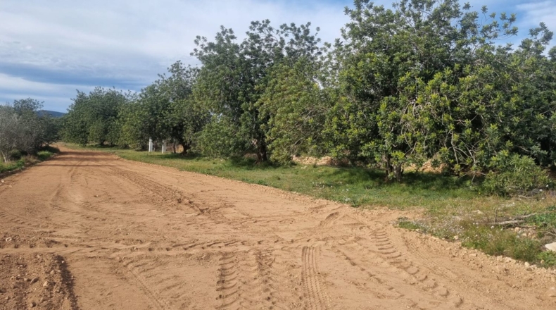 Castellón - Traiguera - 45000m2