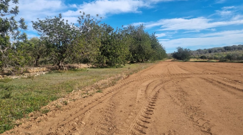 Castellón - Traiguera - 45000m2