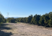 Terreno no urbanizable en venta en Vinaròs ref: TR253127 foto