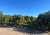 Terreno no urbanizable en venta en Vinaròs ref: TR253127 foto