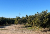 Terreno no urbanizable en venta en Vinaròs ref: TR253127 foto