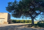 Terreno no urbanizable en venta en Vinaròs ref: TR253127 foto