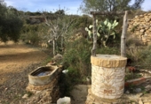 Rural estate for sale in Sant Jordi ref: TR274321 photo