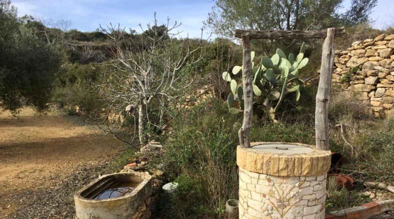 Castellón - San Jorge - 25053m2