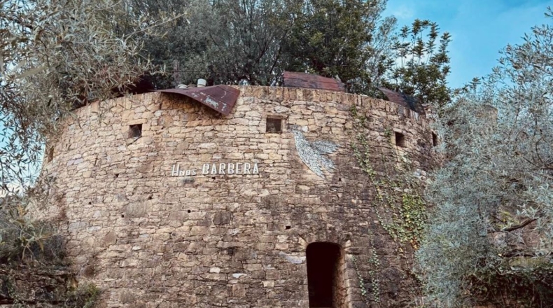 Castellón - San Jorge - 25053m2
