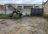 Chalet independiente con terreno en venta en Sant Mateu ref: TR253128 foto