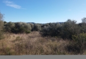 Terreny no urbanitzable en venda a Sant Mateu ref.: TR253129 foto