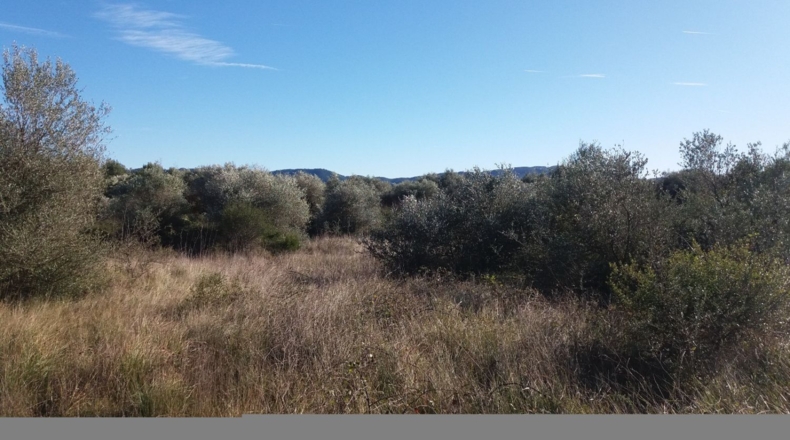 Castellón - San Mateo - 18000m2