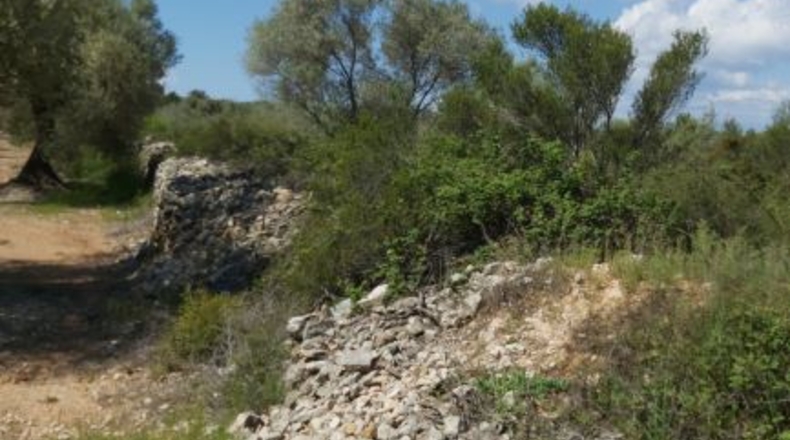 Castellón - San Mateo - 18000m2