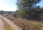 Terreny no urbanitzable en venda a Sant Mateu ref.: TR253129 foto