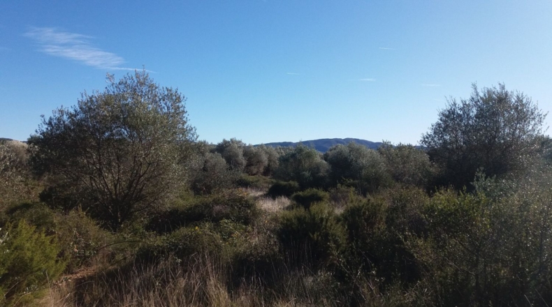 Castellón - San Mateo - 18000m2