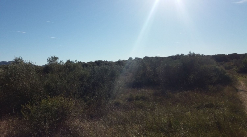 Castellón - San Mateo - 18000m2