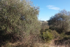 Foto 8