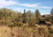 Terreny no urbanitzable en venda a Sant Mateu ref.: TR253129 foto