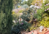 Casa de pueblo en venta en Zorita del Maestrazgo ref: TR360995 foto