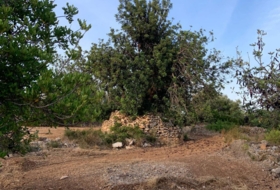 Vinaròs 20341&nbsp;м²