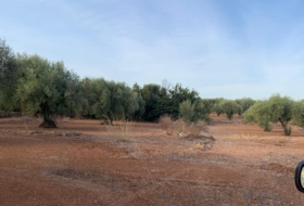 Vinaròs 20341&nbsp;м²
