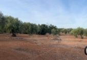 Terreno no urbanizable en venta en la España, Vinaròs, ref: TR379457 foto