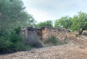 Vinaròs 20341&nbsp;м²