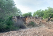 Terreno no urbanizable en venta en la España, Vinaròs, ref: TR379457 foto
