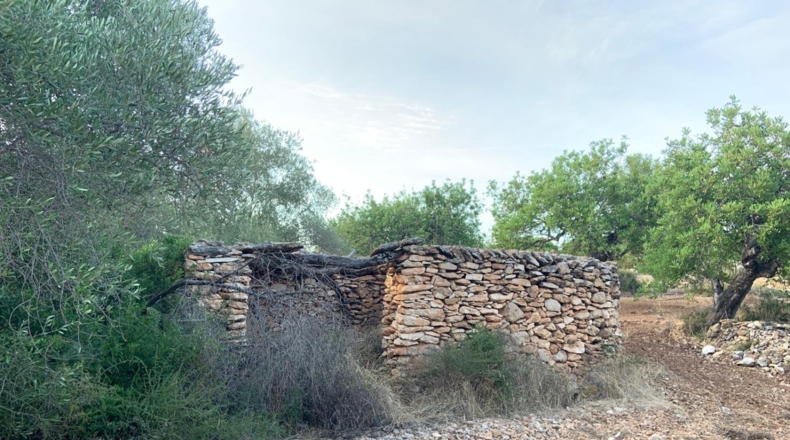 Castellón - Vinaroz - 20341m2