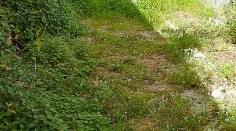 Castellón - Rossell - 765m2