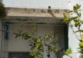 Xalet independent amb terreny en venda a Rossell ref.: TR403254 foto