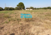 Finca rústica en venta en Vilallonga del Camp ref: TR186421 foto