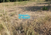 Finca rústica en venta en Vilallonga del Camp ref: TR186421 foto