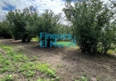 Rural estate for sale on España, Vilallonga del Camp, ref: TR187054 photo