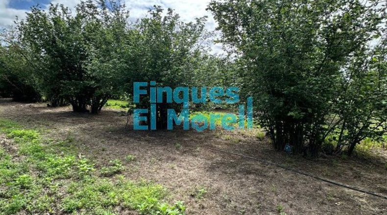 Tarragona - Vilallonga del Camp - 11m2