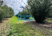 Rural estate for sale on España, Vilallonga del Camp, ref: TR187054 photo