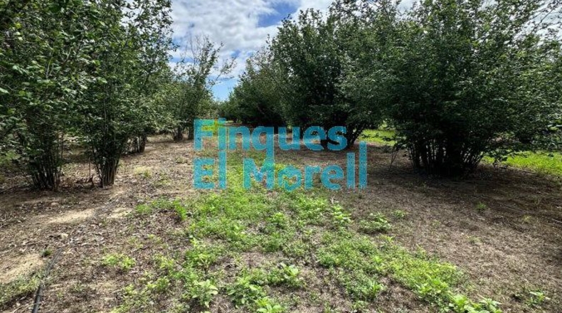 Tarragona - Vilallonga del Camp - 11m2