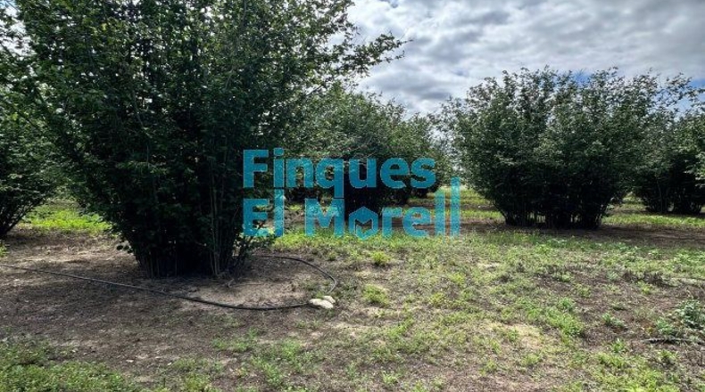 Tarragona - Vilallonga del Camp - 11m2