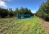 Rural estate for sale on España, Vilallonga del Camp, ref: TR187054 photo