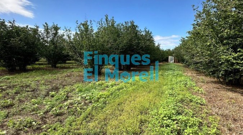 Tarragona - Vilallonga del Camp - 11m2