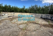 Rural estate for sale on España, Vilallonga del Camp, ref: TR187054 photo