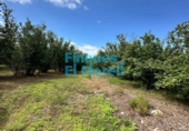 Rural estate for sale on España, Vilallonga del Camp, ref: TR187054 photo