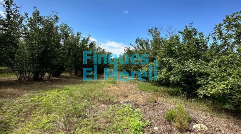 Tarragona - Vilallonga del Camp - 11m2