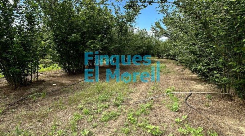 Tarragona - Vilallonga del Camp - 11m2