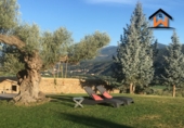 Chalet independiente con terreno en venta en Alàs ref: TR81142 foto